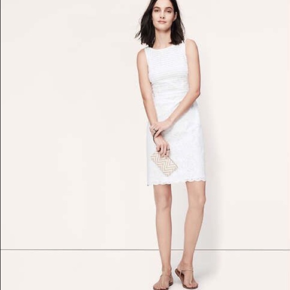 Loft mixed eyelet cotton dress
